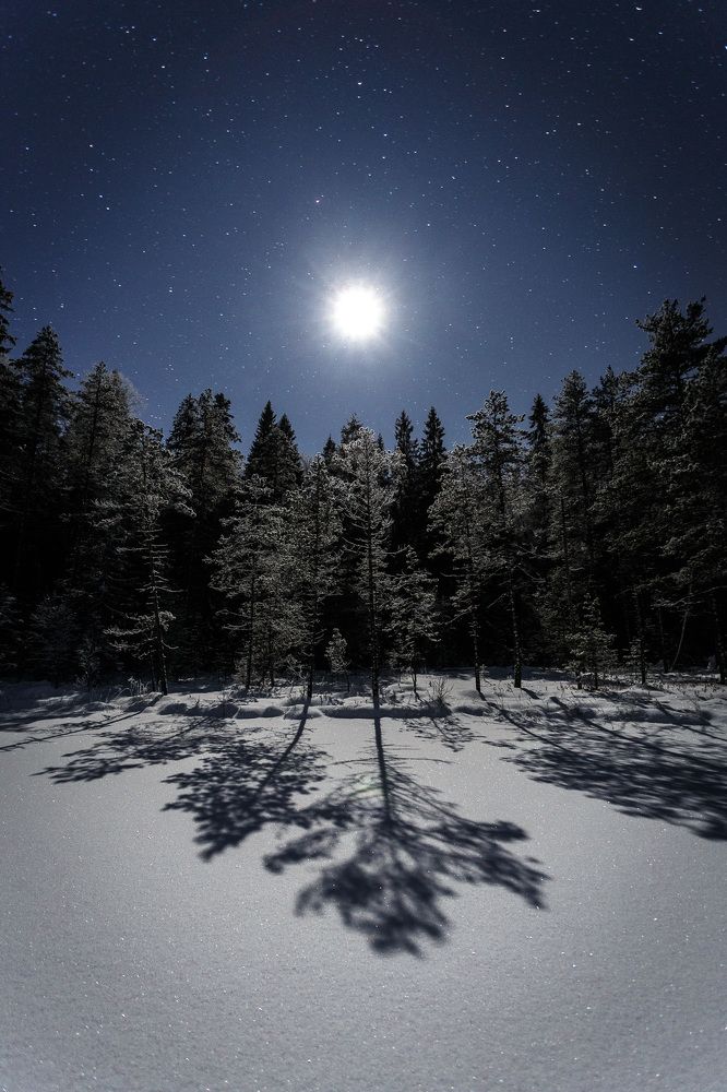 Photograph by Тимофей Шутов