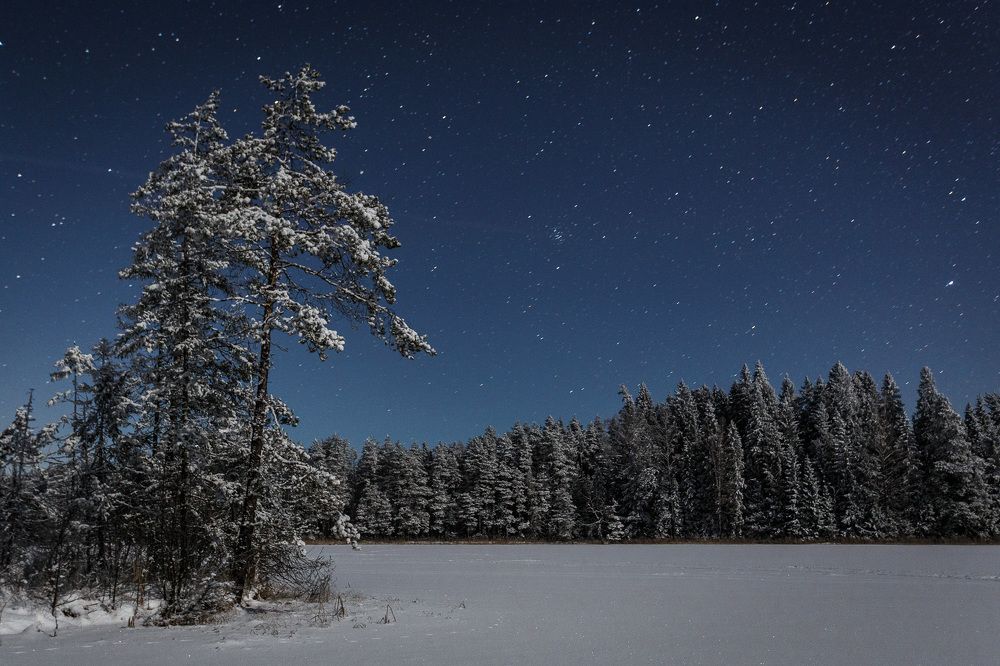 Photograph by Тимофей Шутов