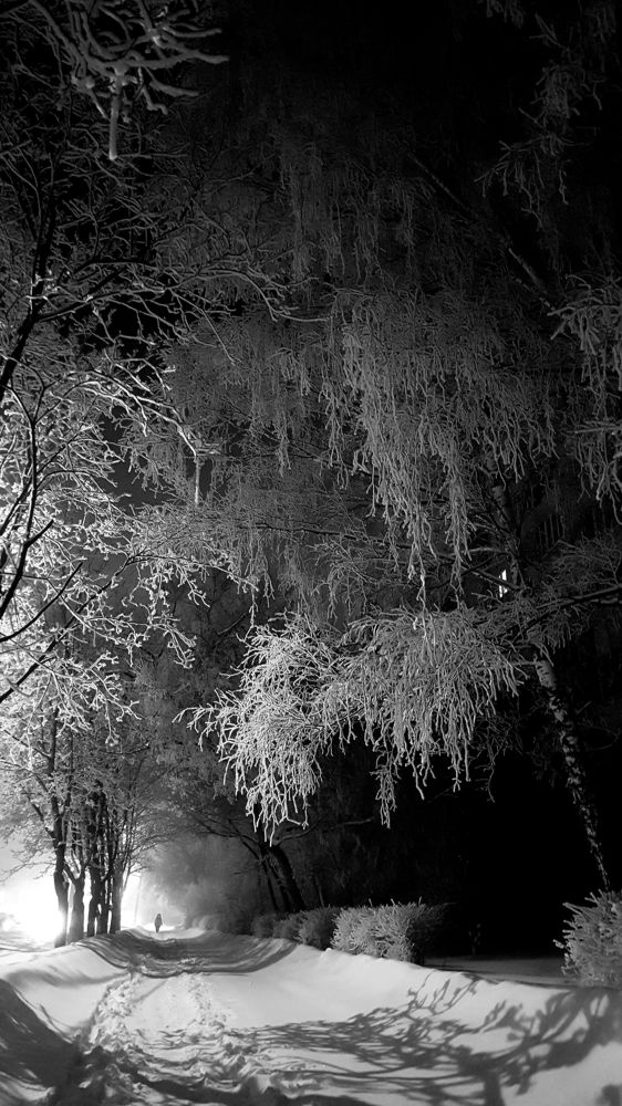 Photograph by Инга Сабанова