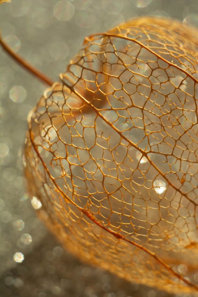 Photograph by Елена Клочкова