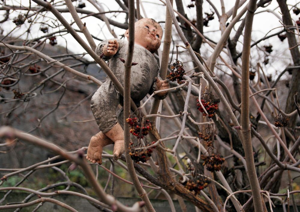 Photograph by Александр Лебедев