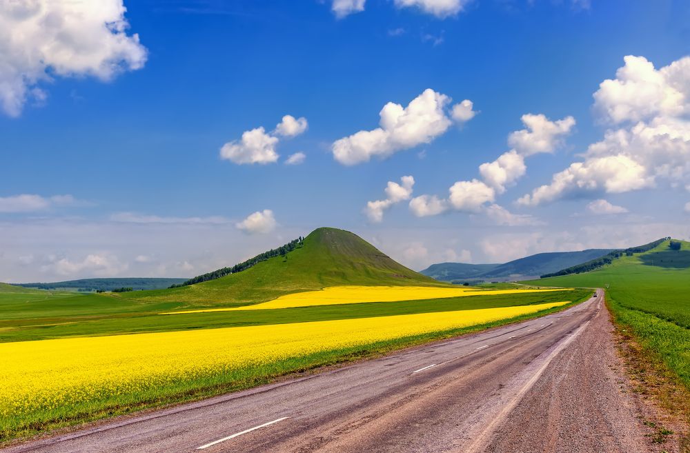 Шарыповские просторы