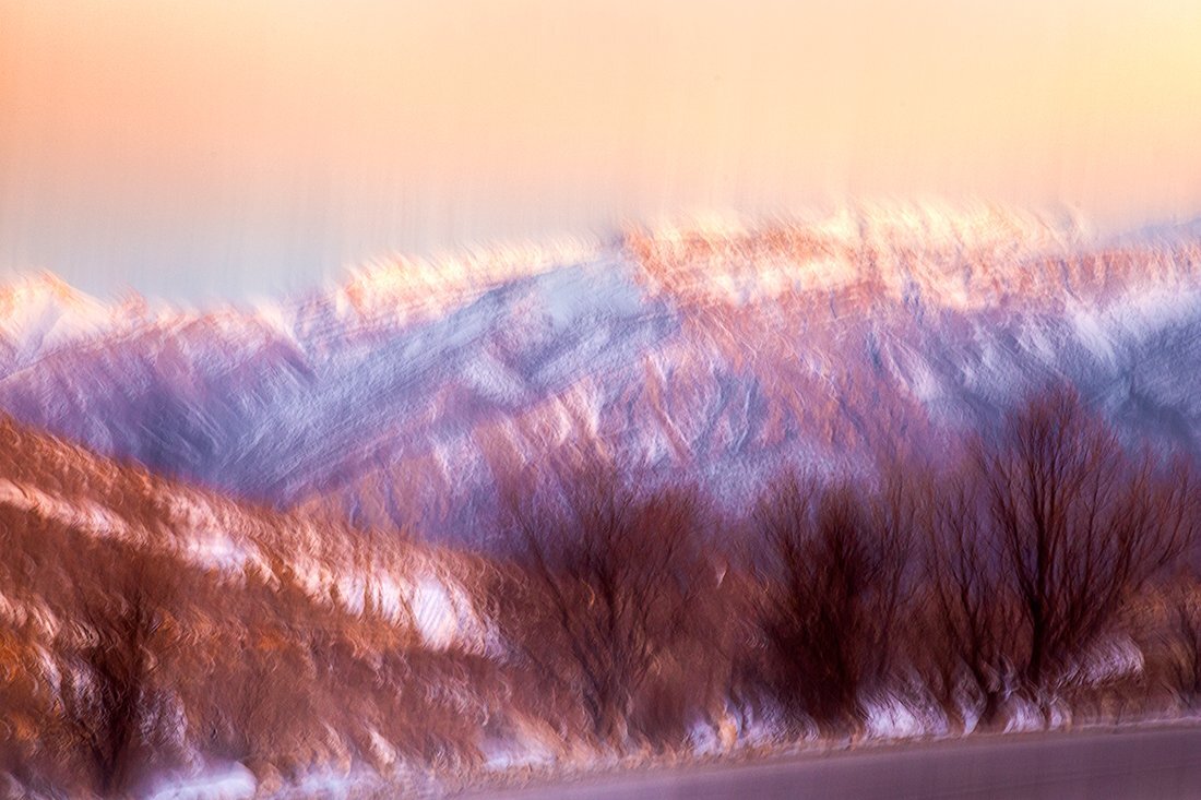 Photo #5796801