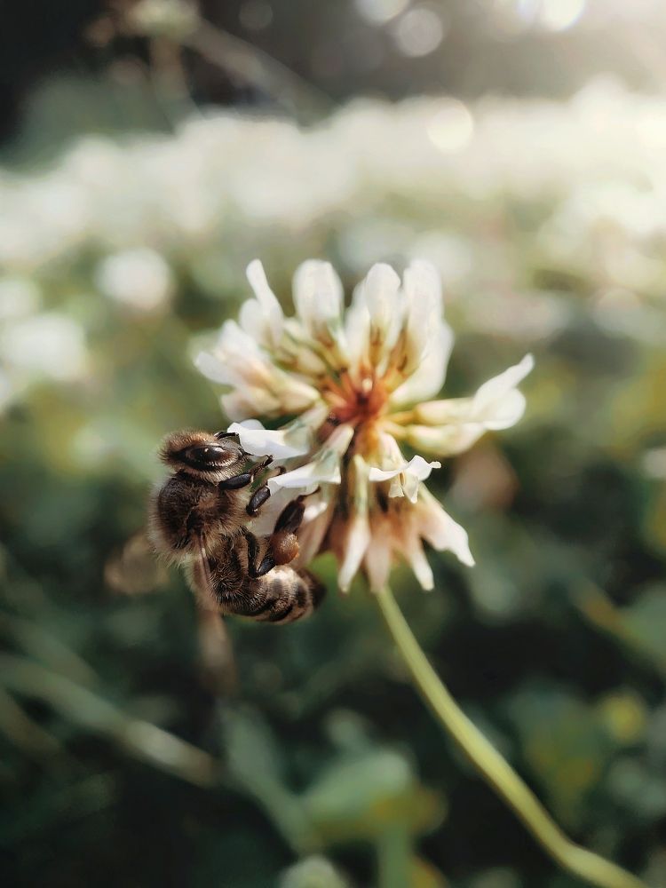 Photograph by Сергей Протасов