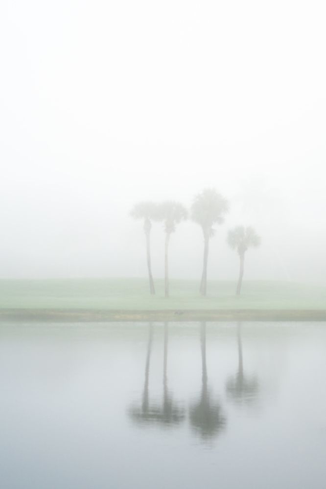 Photograph by Hilda Champion