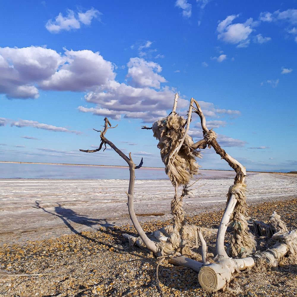 розовое озеро Сасык-Сиваш