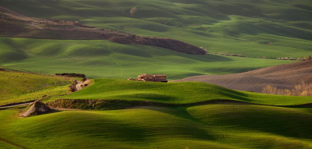 Photograph by Alaa Seif Eddine