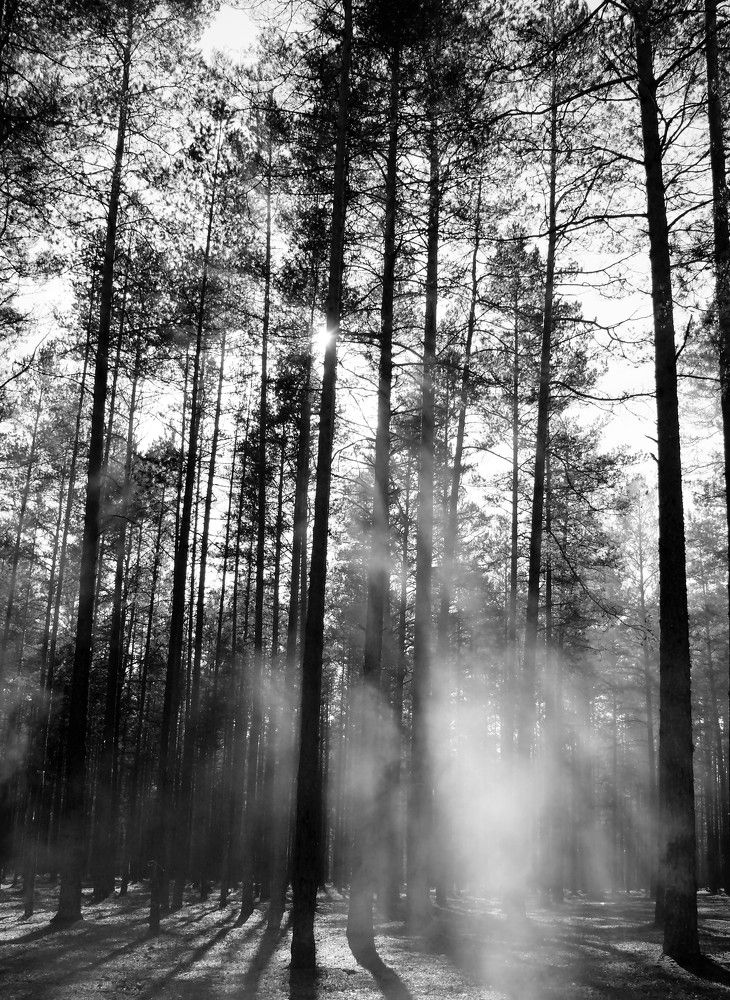 Photograph by Марина Игнатьева