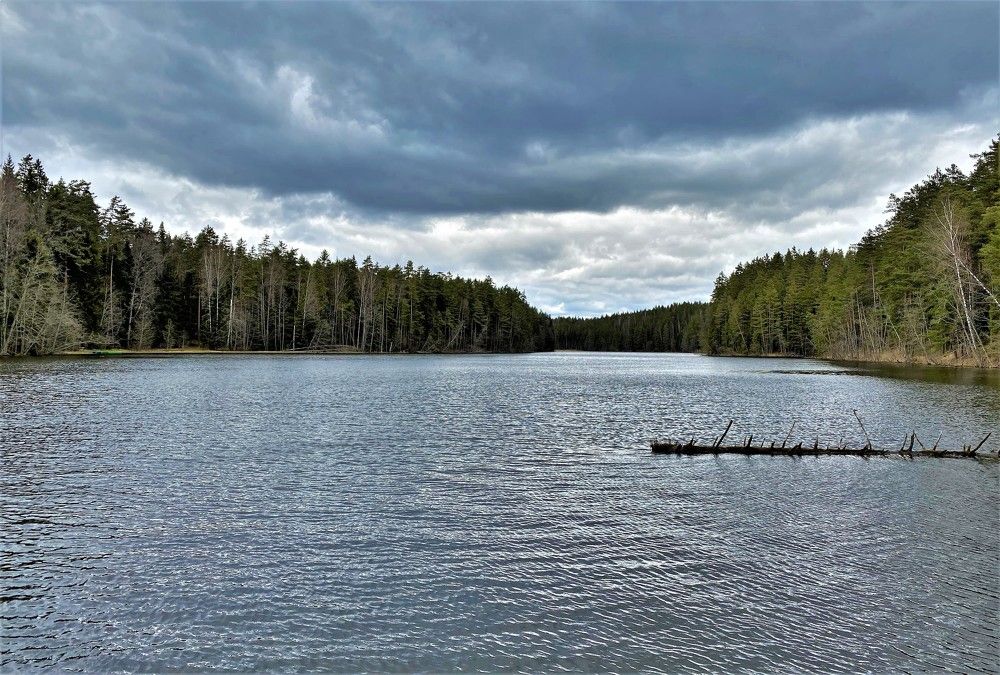 Фотография автора Tiia Vissak