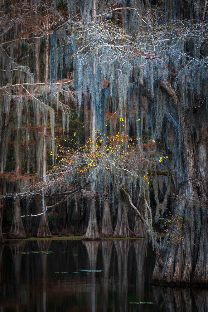 Photograph by Hilda Champion