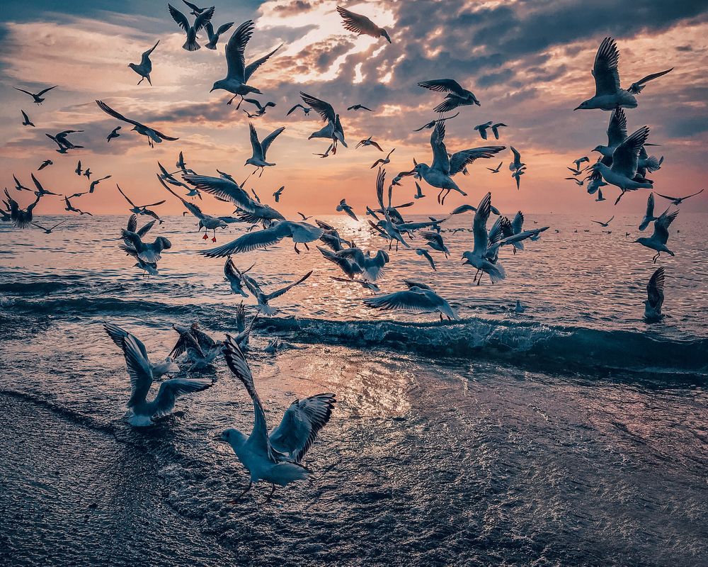 Photograph by Станислав