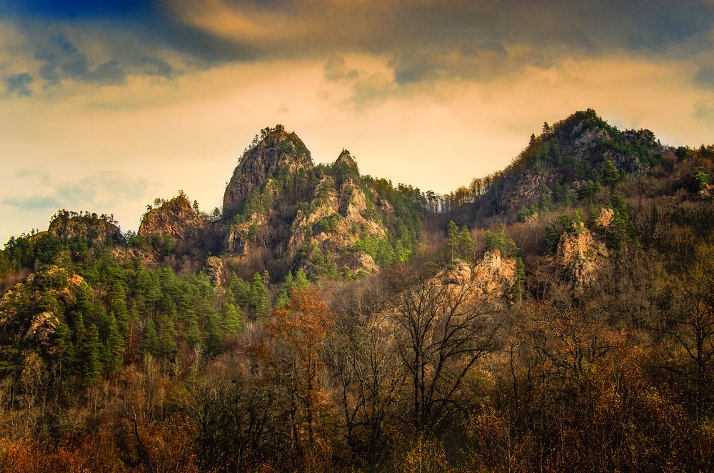 Photograph by Петр Шевелев