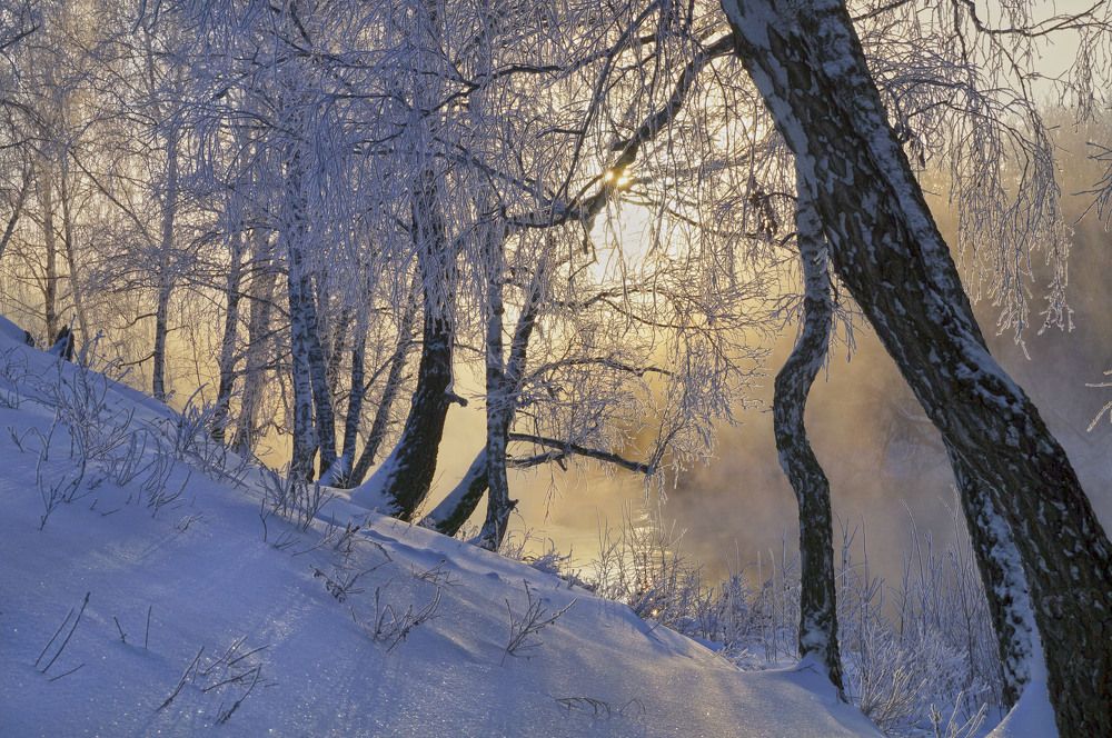 Зимний рассвет у реки.