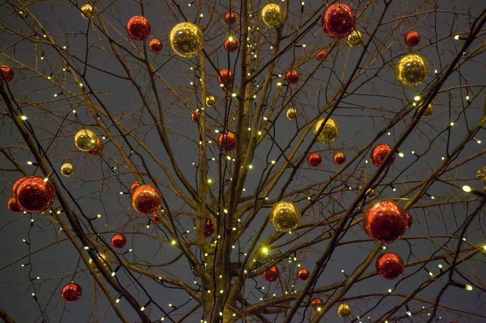 Photograph by Сергей Старостин