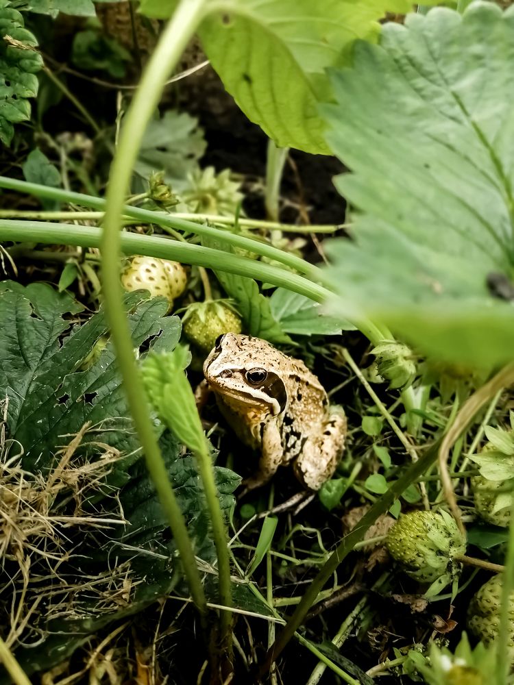 Photograph by Ольга Гаврикова