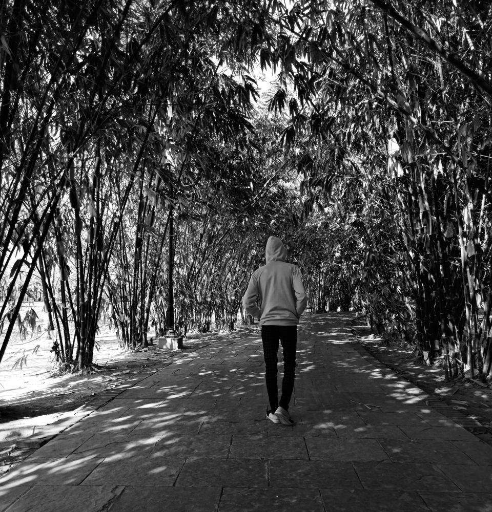 Photo #5797100