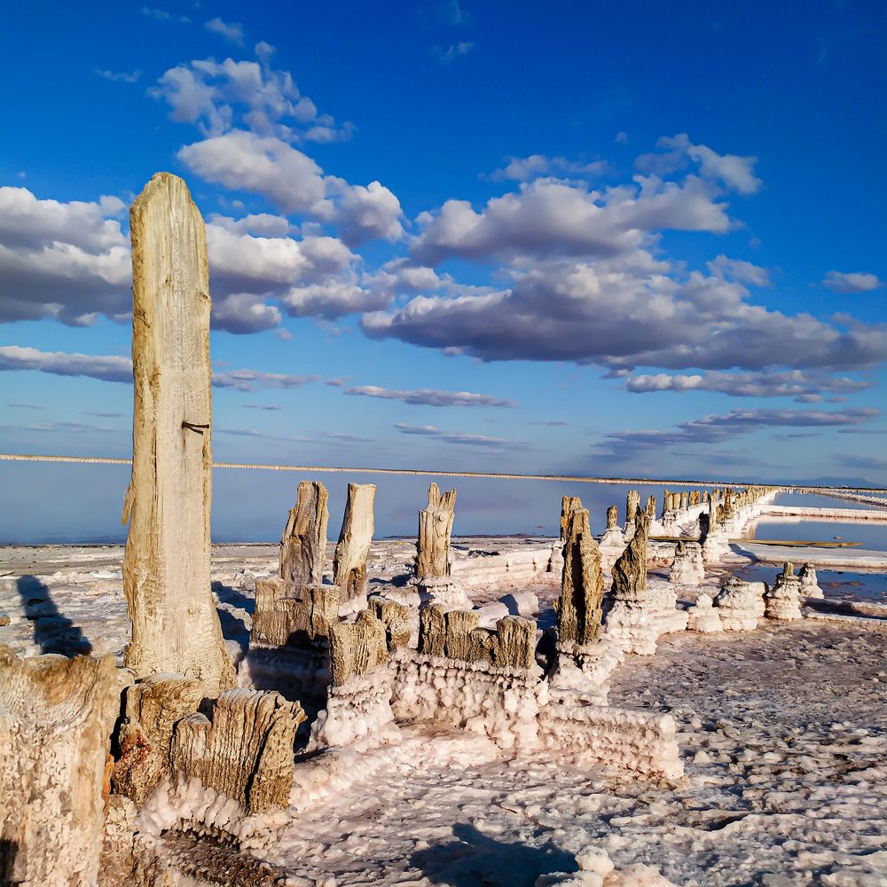 розовое озеро Сасык-Сиваш