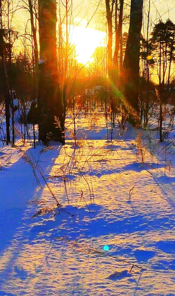 Photograph by Сергей Соломин