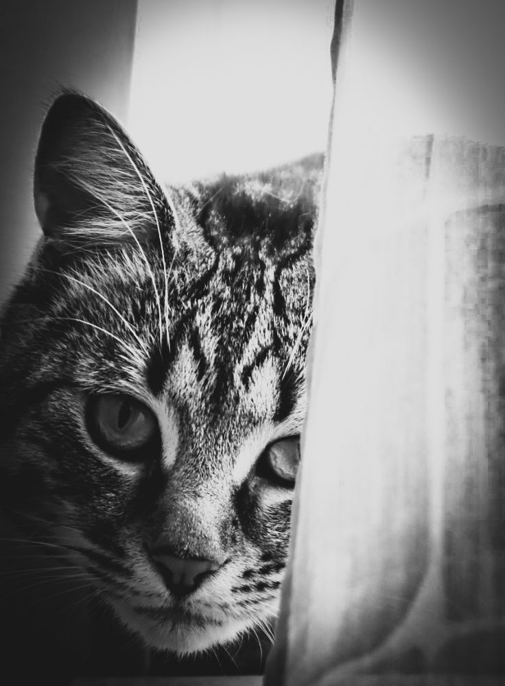 Фотография автора Kristina Kadar