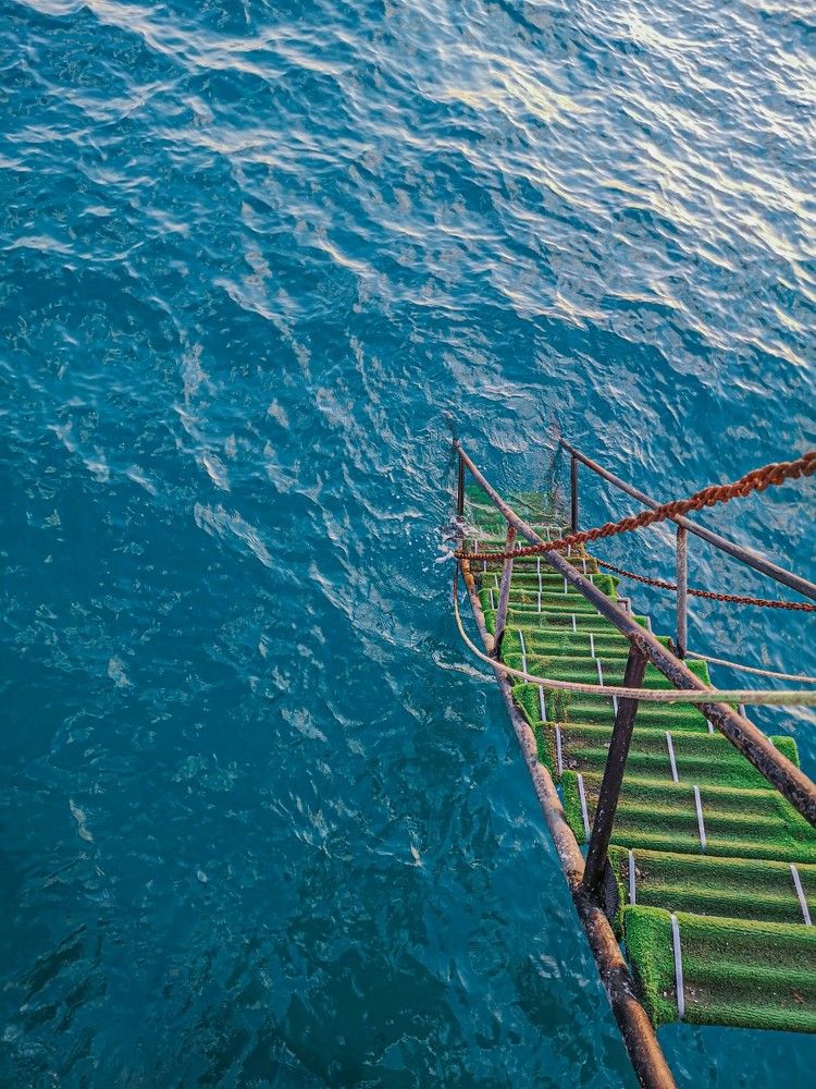 Photograph by Elena Kass