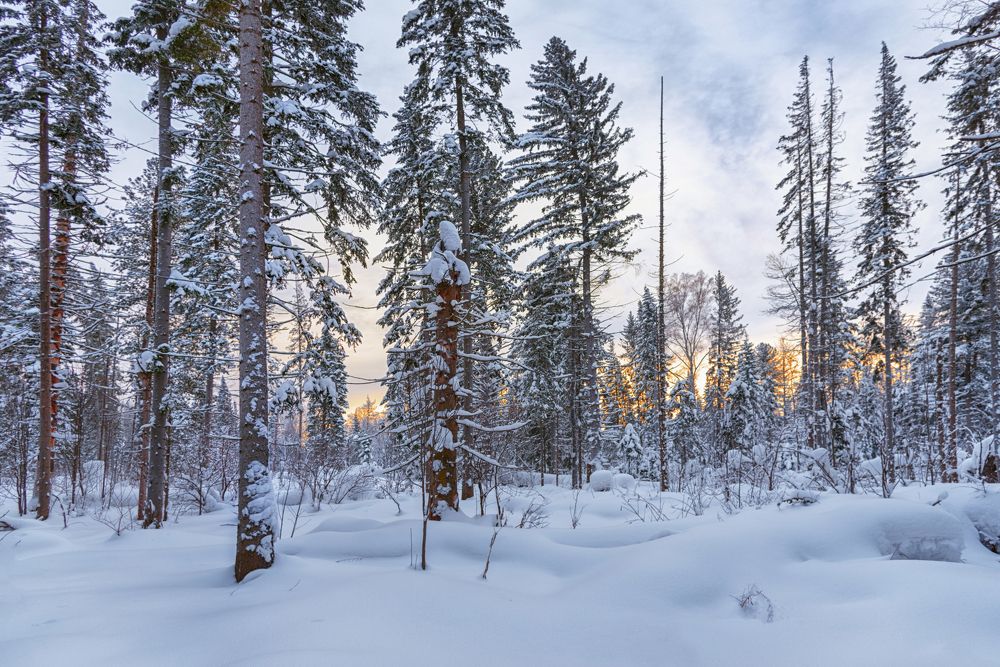 Photograph by Николай Швалюк