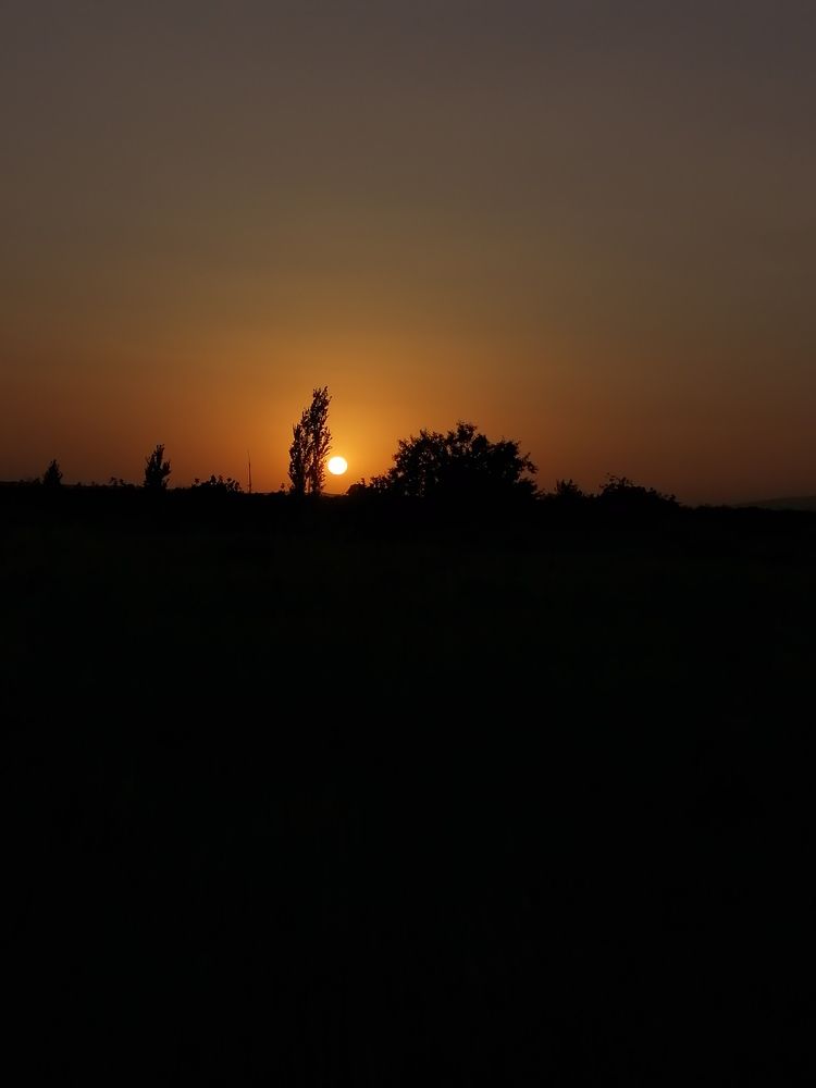 Photograph by mohaddeseh nadi