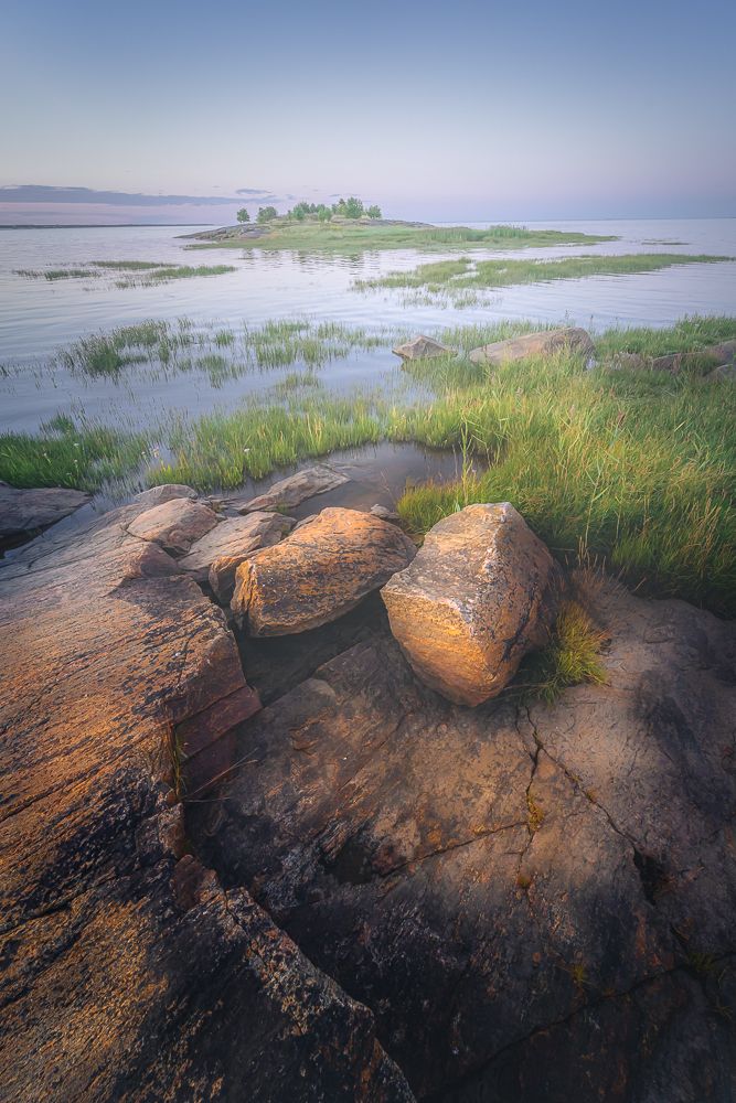 Фотография автора Светлана Морозова