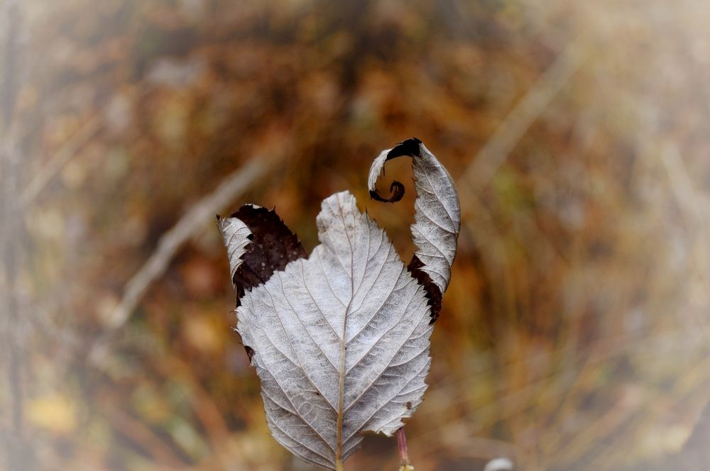 Сила природы.