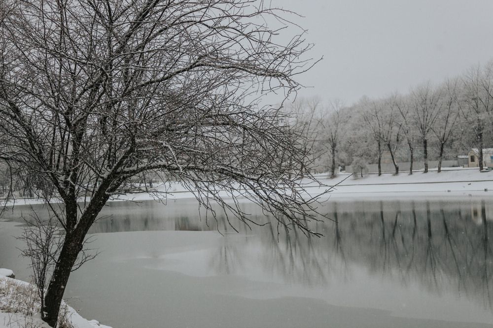 Photograph by Лина Ахмедова