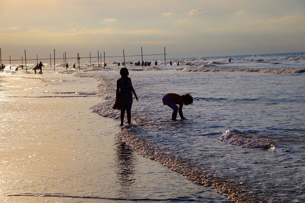 Photograph by najmeh hakimaei