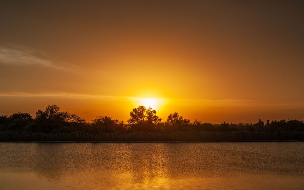 Photograph by Ариадна Подмогильная