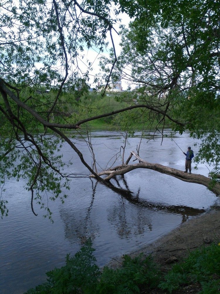 Photo #5797406