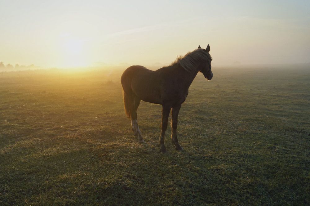 Утро нового дня.