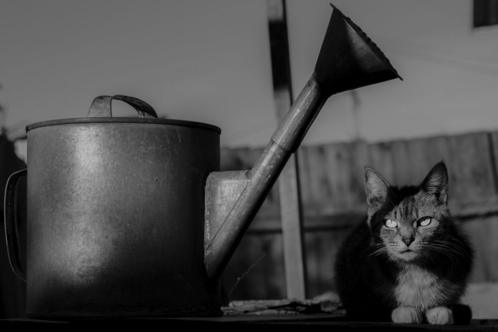 Время полива