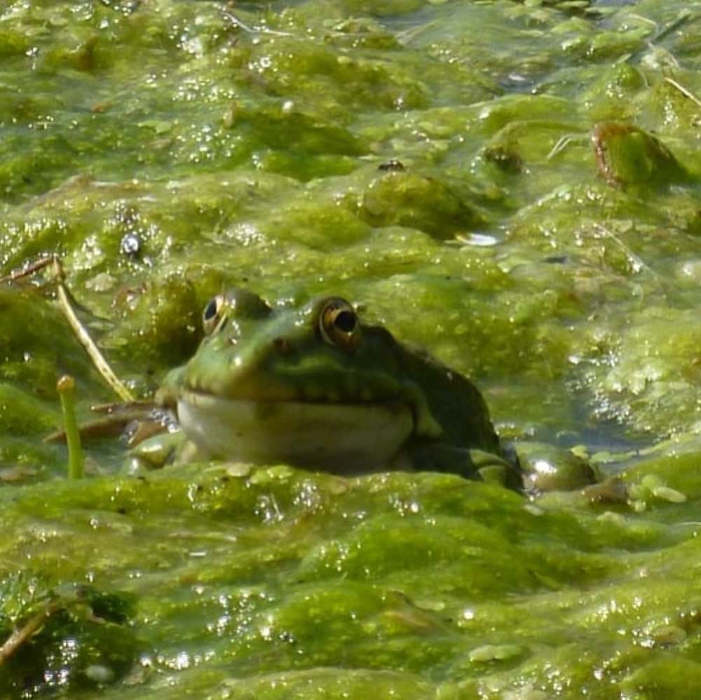 Photograph by Наталия Чайка