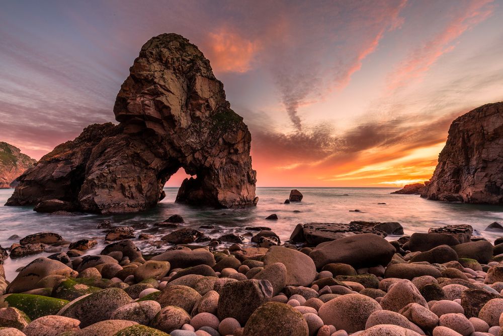 Photograph by Rui Cardoso