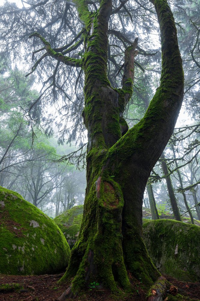 Photograph by Rui Cardoso