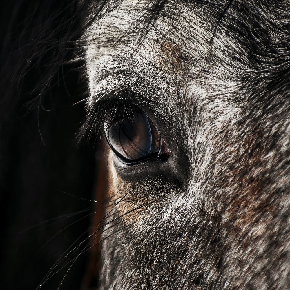 Photograph by Кристина Горковская