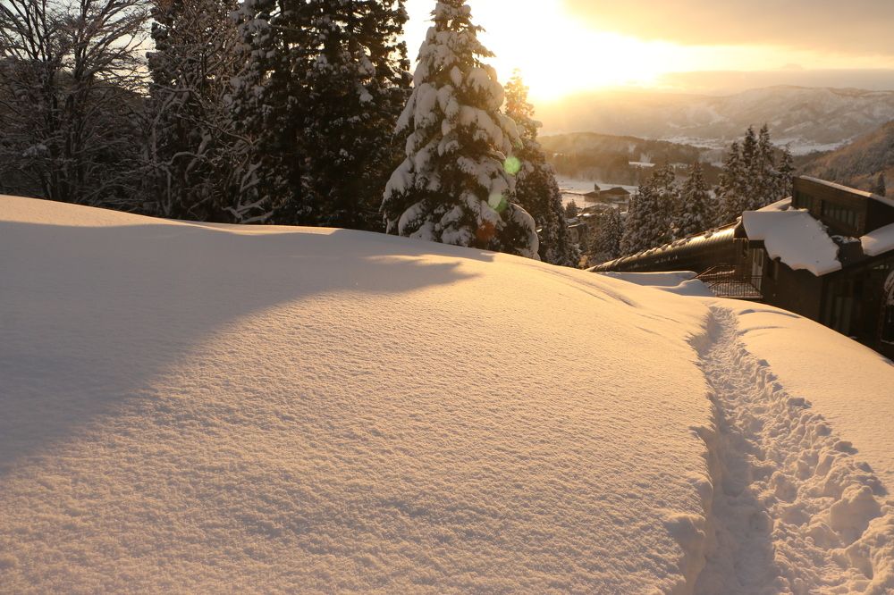 Photograph by Tatiana Serova