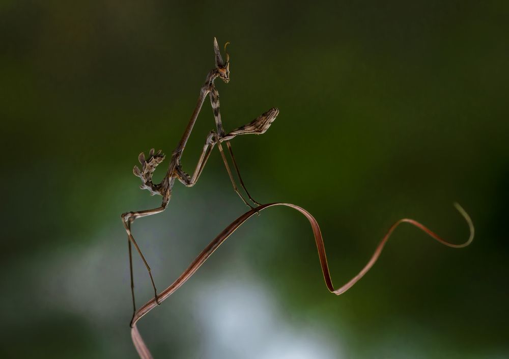 Photograph by ozgur secmen