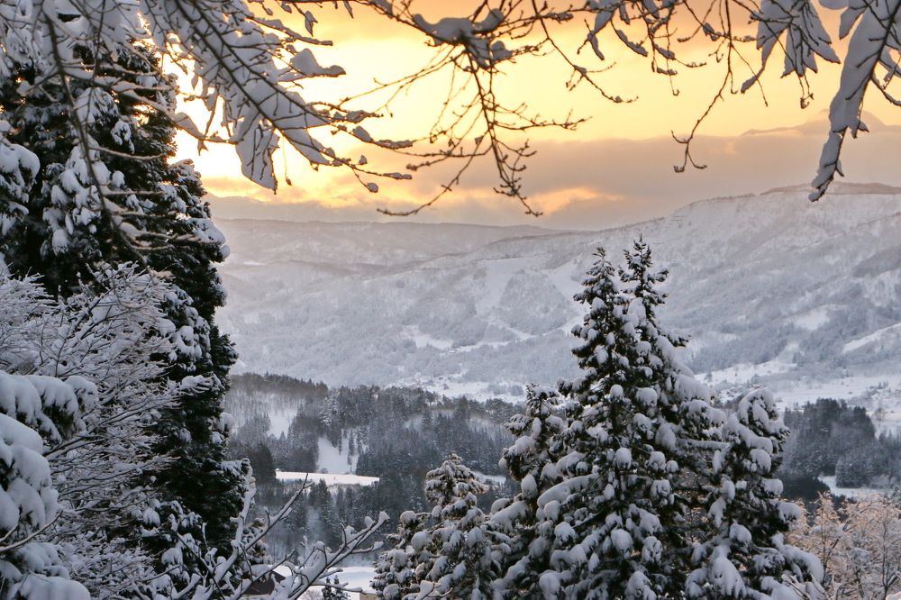 Photograph by Tatiana Serova