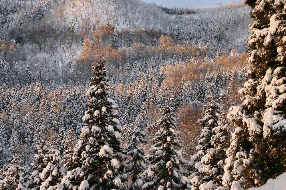 Photograph by Tatiana Serova