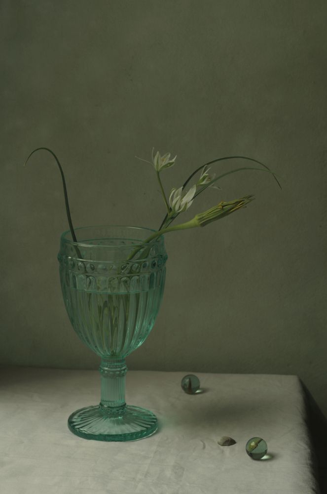 Photograph by Ирина Ямчицкая