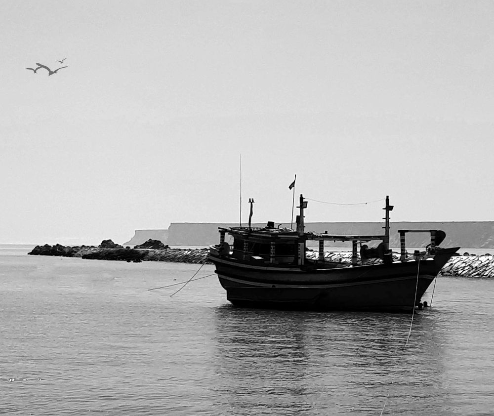 Photograph by reyhaneh zeidabadi