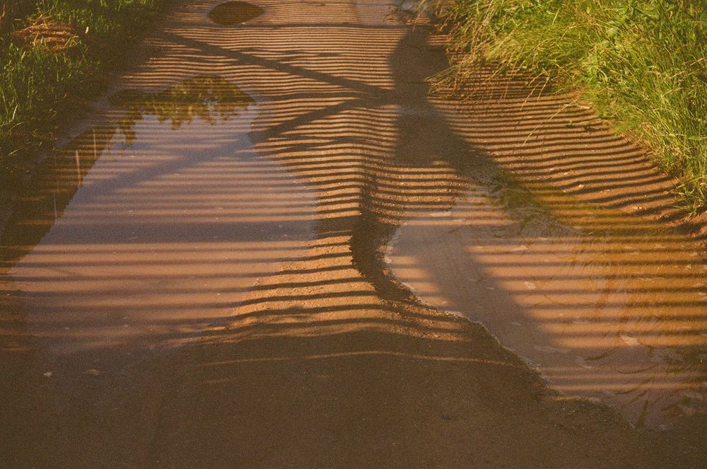 Photograph by Валерия Машкова