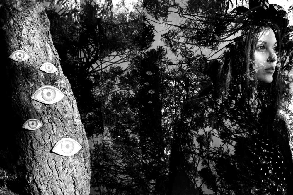 Photograph by Соня Файнберг