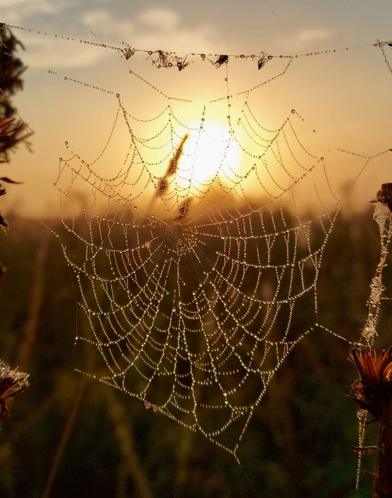 Уходит лето.