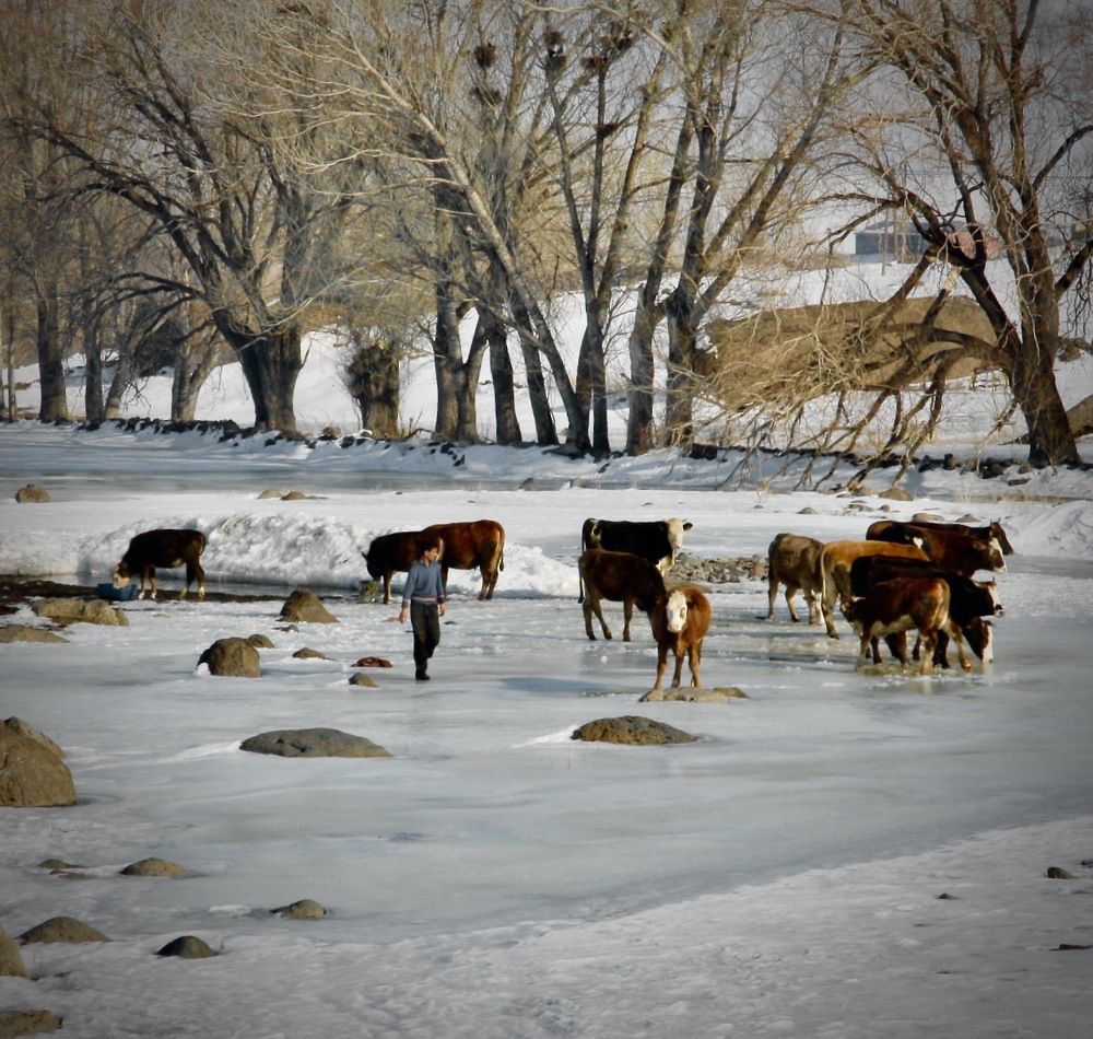 Photograph by Ahmet Aka