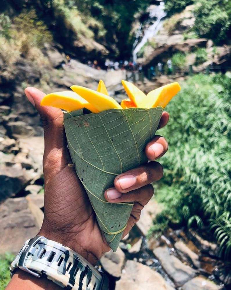 Photograph by Rajapaksha Vishwa