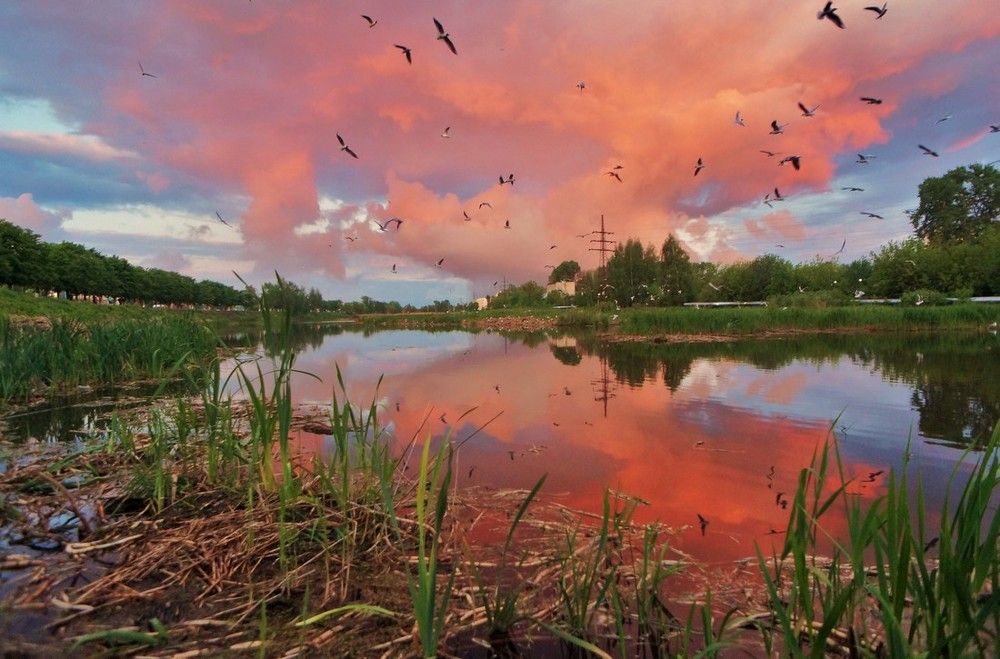 Photograph by Павел Васильев